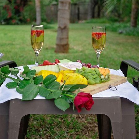Three Oaks And An Aloe Boutique Hotel ฮาร์ทบีสบูร์ท ภายนอก รูปภาพ